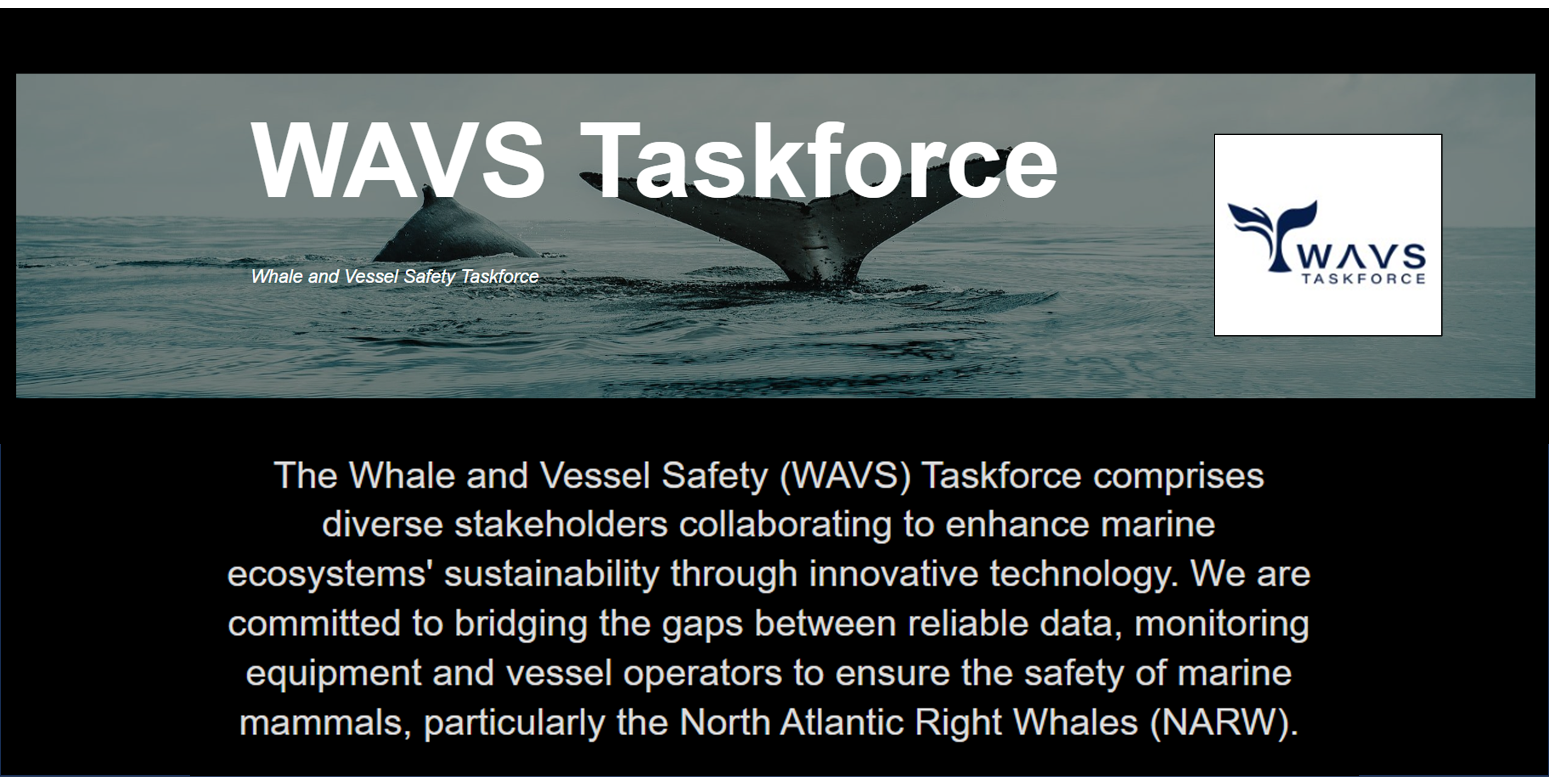 WAVS Taskforce Partners